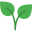 A Plant